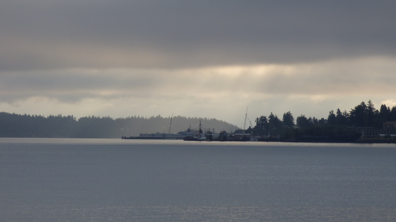 Illustration for article titled Pacific NW pics